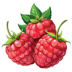 Three bright red raspberries with shiny highlights and green leaves
