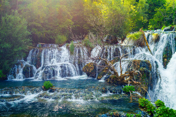 waterfall in the forest