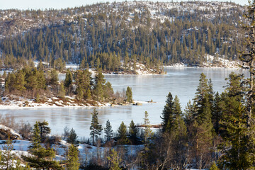 Reflective calm frozen lake bordered by dense forest and rocky shoreline, pine-covered hills rising behind, pale winter light smoothing icy surface