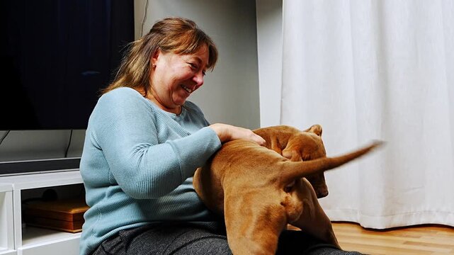Woman enjoying communication with her cute American Staffordshire Terrier puppy as the dog joyfully licking its owner. Happiness, fun, affection, strong bonding between human and pet.