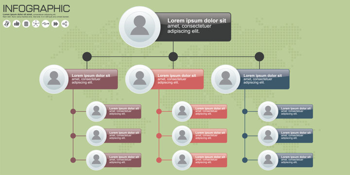 Organizational chart with multiple levels and branches