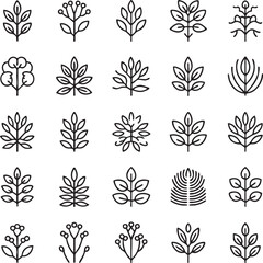 Collection of various leaf and plant in black and white
