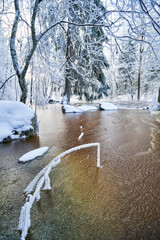 Flooding ice covered river in very cold winter day