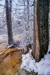 Flooding ice covered river in very cold winter day