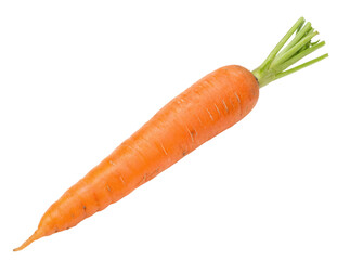 Fresh orange carrot with green leafy top on a transparent background