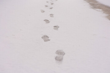 Footprints in Snow Showing Human Presence and Winter Environment Texture