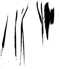 Grunge stripes and lines texture background. Abstract overlay. PNG graphic illustration with transparent background.