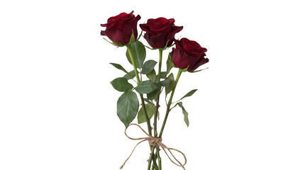 Three Dark Red Roses Tied with Twine Isolated on White Background