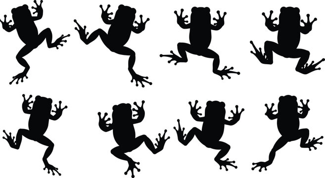  Black frog silhouette collection with tree frogs jumping and climbing in various poses isolated on white background for tropical nature design.