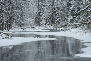 Obraz premium a calm winding river in a snowy forest, trees under the snow in the forest, peace and quiet, reflection on the water, without people