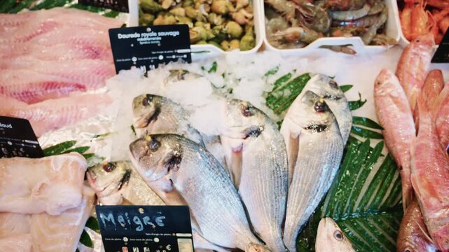 Close up of whole sea bream arranged on crushed ice at a seafood counter