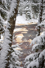 a calm winding river in a snowy forest, trees under the snow in the forest, peace and quiet, reflection on the water, without people