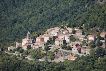 panoramic view of the town of vico, corsica, france