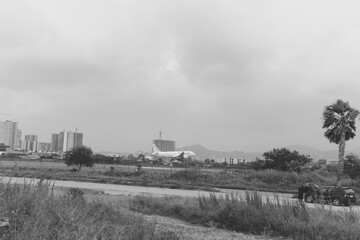 Landscape with distant cityscape, road, and palm tree in grayscale, depicting a calm transition from rural scene to urban horizon and open scenery