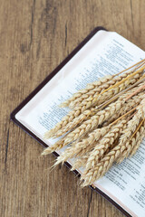 Wheat on open holy bible book on wooden background. Top view. Biblical harvest, christian spiritual...