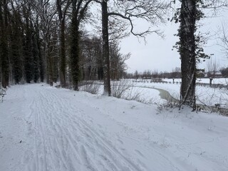 January 2026 - Winter season, snow in the Netherlands - very rarely moment. White forest, snowy park