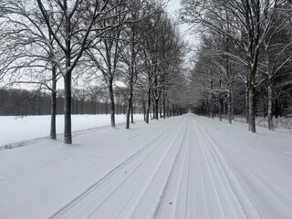 January 2026 - Winter season, snow in the Netherlands - very rarely moment. White forest, snowy park
