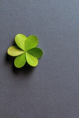 Fototapeta premium four-leaf clover on a gray textured background Concept Four-leaf Clover, Gray Textured Background, Macro Close-Up, Green Plant Detail, Lucky Symbol