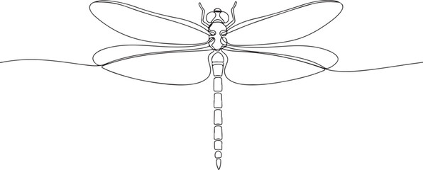Dragonfly continuous one line art vector illustration.eps