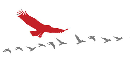 Red bird leads flock of birds in flight