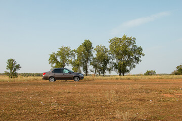 The car is parked in a field with trees in the background