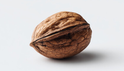Single Walnut on White Background