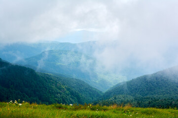 Forested mountains disappear into fog where trees and peaks blend with mist in mysterious layered landscape.