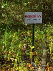 Poison ivy warning sign in woodlands