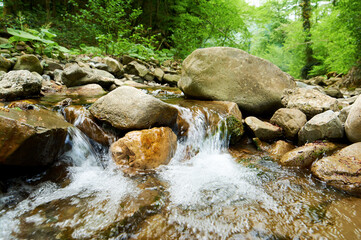 Small river rapid creates dynamic water flow over rocks, forming natural staircase of whitewater and movement.