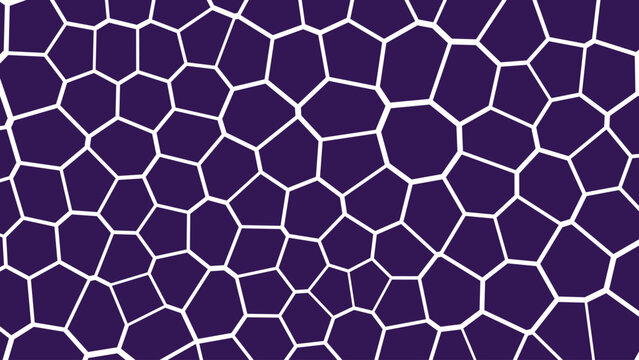 Irregular polygonal white lines forming a fascinating cell network pattern on a deep purple surface