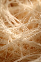 Obraz premium Textured abstract concept with natural fibrous materials for creative design