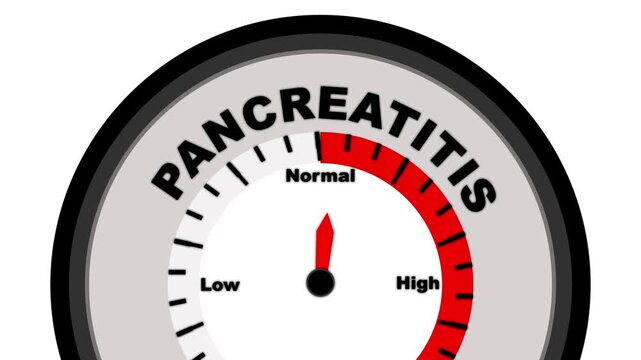 Pancreatitis text or word shown with a barometer or tachometer-style gauge, representing varying levels of inflammation in the pancreas and its impact on digestive health and overall wellbeing