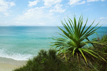 Noosa Heads