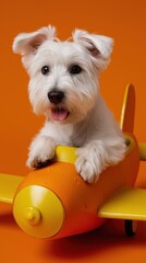 Playful white terrier puppy in toy airplane against orange background