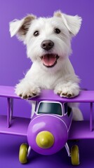 Joyful white puppy playing with purple toy airplane against vibrant background