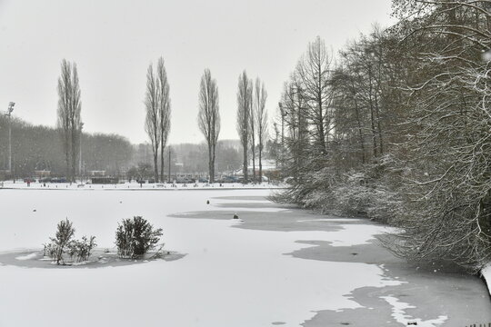Peupliers bordant l'&eacute;tang principal sous la neige et la glace au parc de la Dodaine &agrave; Nivelles (Brabant Wallon)