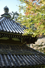 初秋の善峯寺　色づき始めたモミジと経堂(京都市西京区)