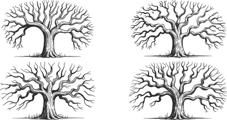 Detailed bare tree sketch illustration set in black and white monochrome vintage style for nature themed designs botanical studies and environmental awareness campaigns artistic graphic resource for f