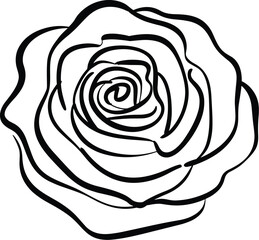 Elegant rose flower line art illustration in minimalist black and white style representing natural beauty and floral design for wedding invitations feminine branding botanical art print or modern home