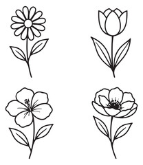 Hand drawn line art flower set featuring daisy, tulip, hibiscus, and poppy blossoms for nature and spring designs