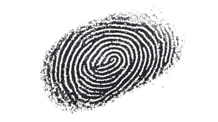 Digital Fingerprint Scan Interface