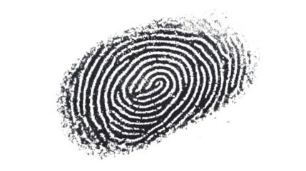 Digital Fingerprint Scan Interface