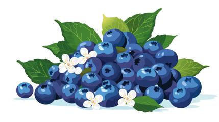 Fresh Blueberries with Leaves and Blossoms Illustration