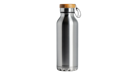 Insulated Stainless Steel Water Bottle