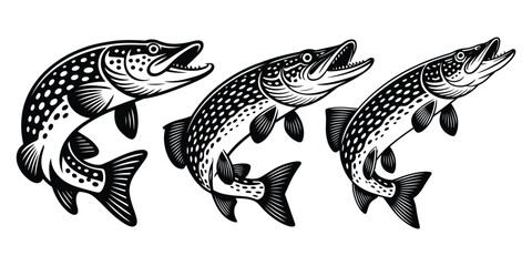 Northern pike fish, Jumping pike fish with its mouth open, Icon design elements for fishing clubs and apparel © magic390