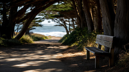 Serene pathway through trees leading to tranquil ocean view, solitary bench inviting reflection and peace, coastal forest scene, with copy space