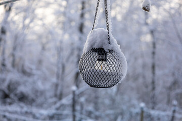 Snowy lantern hanging in winter forest with snow
