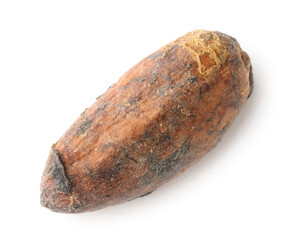 One natural cocoa bean isolated on white, above view