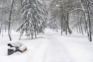 Park bench buried in deep, fresh snow next to a forest path and tall spruce trees during a heavy snowfall or blizzard
