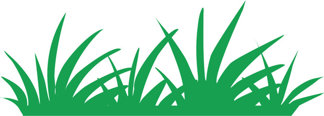 green grass on white background